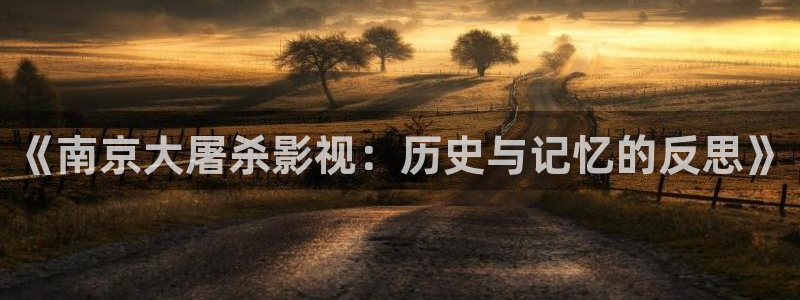 yy4480青苹果影院万利达：《南京大屠杀影视：历史与记忆的反思》