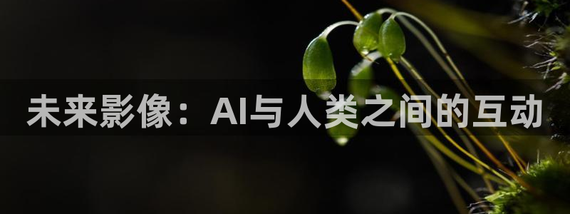 xyy4480青苹果影院：未来影像：AI与人类之间的互动